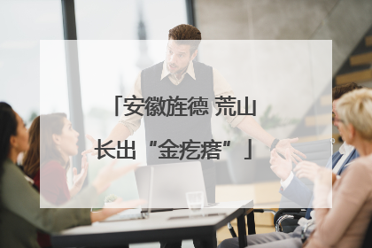 安徽旌德 荒山长出“金疙瘩”