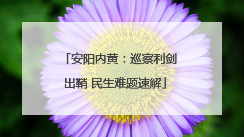 安阳内黄：巡察利剑出鞘 民生难题速解