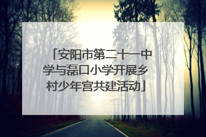 安阳市第二十一中学与磊口小学开展乡村少年宫共建活动