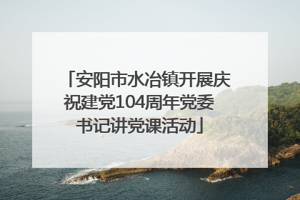 安阳市水冶镇开展庆祝建党104周年党委书记讲党课活动