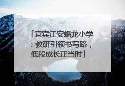 宜宾江安蟠龙小学：教研引领书写路，低段成长正当时