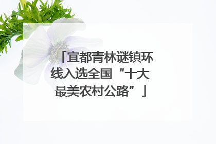 宜都青林谜镇环线入选全国“十大最美农村公路”