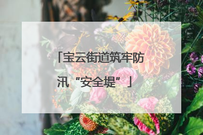 宝云街道筑牢防汛“安全堤”