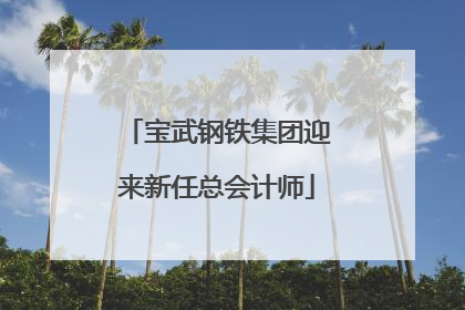 宝武钢铁集团迎来新任总会计师