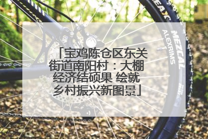 宝鸡陈仓区东关街道南阳村：大棚经济结硕果 绘就乡村振兴新图景