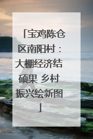 宝鸡陈仓区南阳村：大棚经济结硕果 乡村振兴绘新图