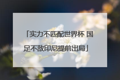 实力不匹配世界杯 国足不敌印尼提前出局