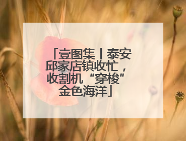 壹图集丨泰安邱家店镇收忙，收割机“穿梭”金色海洋