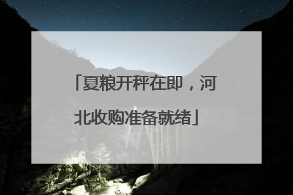 夏粮开秤在即，河北收购准备就绪