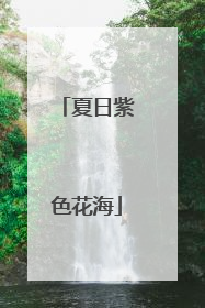 夏日紫色花海