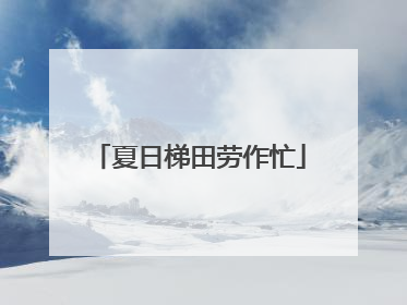夏日梯田劳作忙