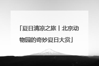 夏日清凉之旅丨北京动物园的奇妙夏日大赏
