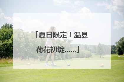 夏日限定！温县荷花初绽……
