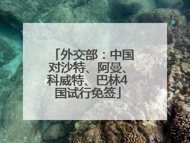外交部：中国对沙特、阿曼、科威特、巴林4国试行免签