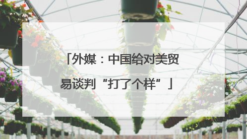 外媒：中国给对美贸易谈判“打了个样”