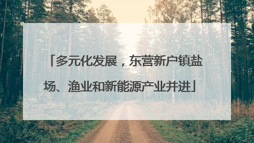 多元化发展，东营新户镇盐场、渔业和新能源产业并进