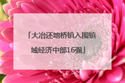 大冶还地桥镇入围镇域经济中部16强