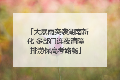 大暴雨突袭湖南新化 多部门连夜清障排涝保高考路畅