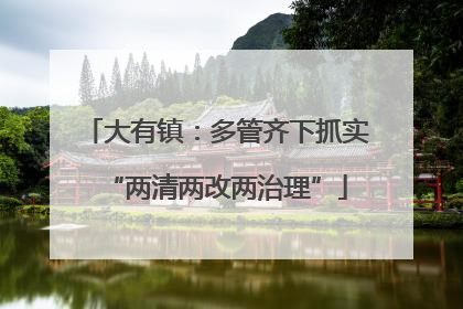 大有镇：多管齐下抓实“两清两改两治理”