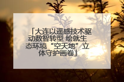大连以遥感技术驱动数智转型 绘就生态环境“空天地”立体守护画卷