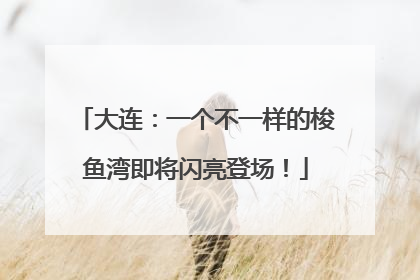 大连：一个不一样的梭鱼湾即将闪亮登场！