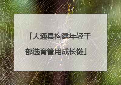 大通县构建年轻干部选育管用成长链