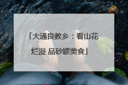 大通良教乡：看山花烂漫 品砂罐美食