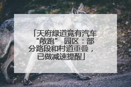 天府绿道竟有汽车“敞跑” 园区：部分路段和村道重叠，已做减速提醒