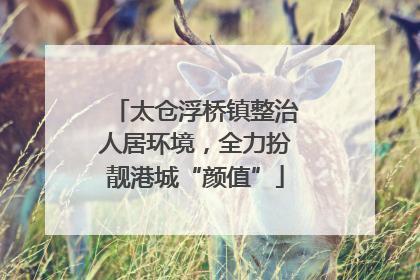 太仓浮桥镇整治人居环境，全力扮靓港城“颜值”