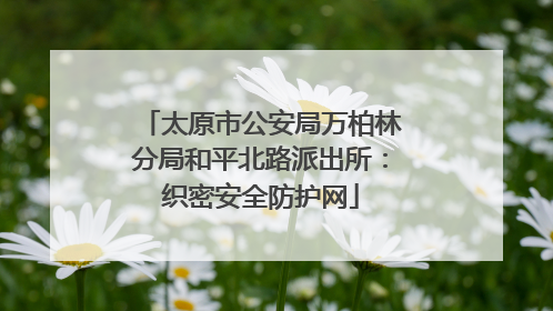 太原市公安局万柏林分局和平北路派出所：织密安全防护网