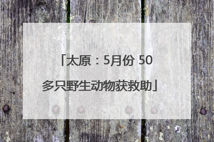 太原：5月份 50多只野生动物获救助