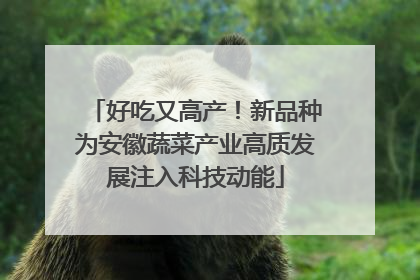 好吃又高产！新品种为安徽蔬菜产业高质发展注入科技动能