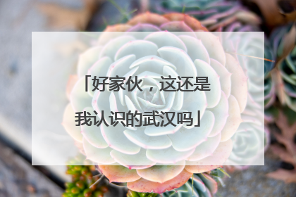 好家伙，这还是我认识的武汉吗