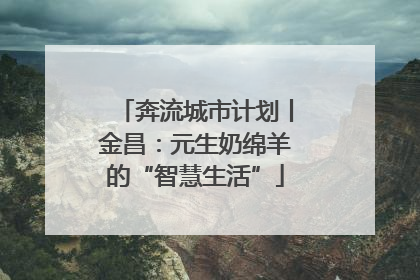 奔流城市计划丨金昌：元生奶绵羊的“智慧生活”