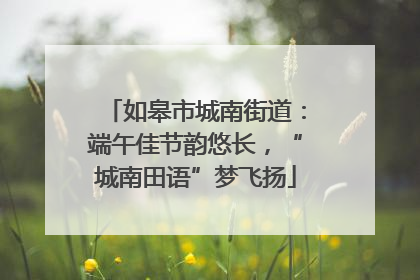 如皋市城南街道：端午佳节韵悠长，“城南田语”梦飞扬