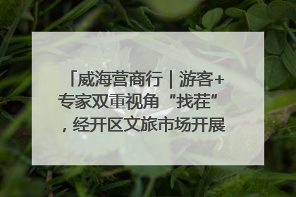 威海营商行｜游客+专家双重视角“找茬”，经开区文旅市场开展暑期前“体检”