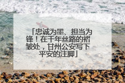 忠诚为墨、担当为锋！在千年丝路的褶皱处，甘州公安写下平安的注脚