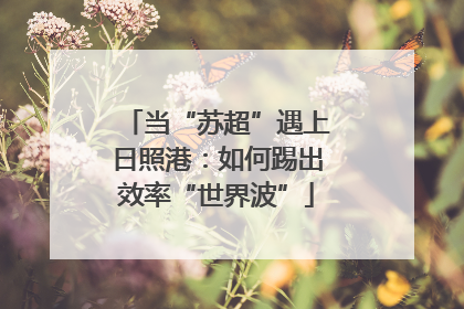 当“苏超”遇上日照港：如何踢出效率“世界波”