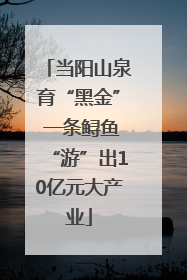 当阳山泉育“黑金” 一条鲟鱼“游”出10亿元大产业