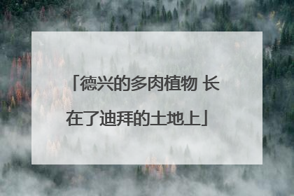 德兴的多肉植物 长在了迪拜的土地上