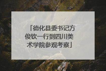 德化县委书记方俊钦一行到四川美术学院参观考察