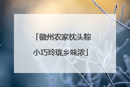 徽州农家枕头粽 小巧玲珑乡味浓