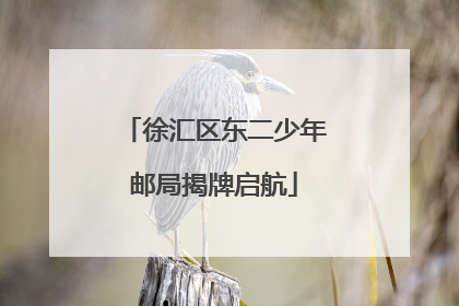 徐汇区东二少年邮局揭牌启航