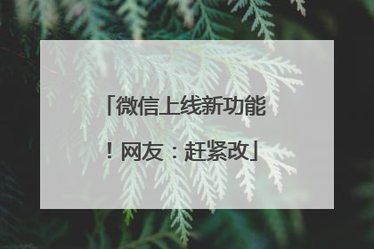 微信上线新功能！网友：赶紧改