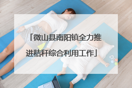 微山县南阳镇全力推进秸秆综合利用工作