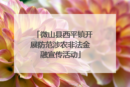 微山县西平镇开展防范涉农非法金融宣传活动