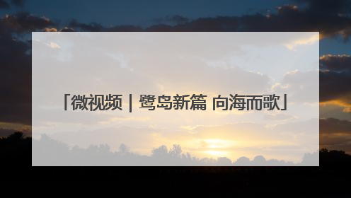 微视频｜鹭岛新篇 向海而歌