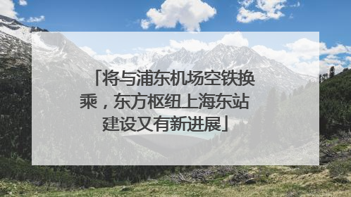 将与浦东机场空铁换乘，东方枢纽上海东站建设又有新进展