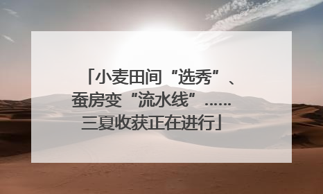 小麦田间“选秀”、蚕房变“流水线”……三夏收获正在进行