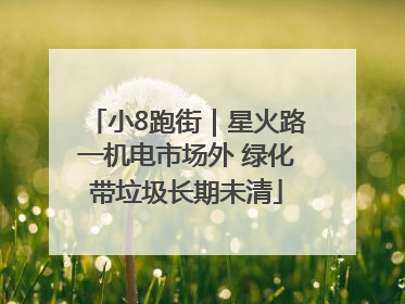 小8跑街｜星火路一机电市场外 绿化带垃圾长期未清